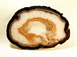 Brazilian Agate Slice!