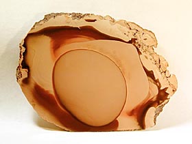 Large Bruneau Slice