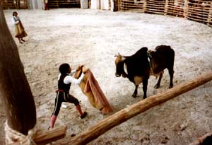 Bullfight in Cozumel
