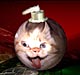 Bonsai Kitty - Chrismas Ornament