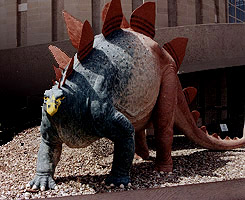 Outside Dino Nat'l Monument