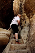 Ladder